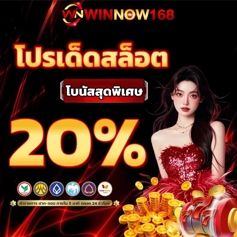 winnow 168 vip